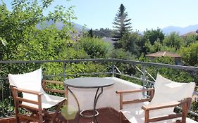 Minas Villa